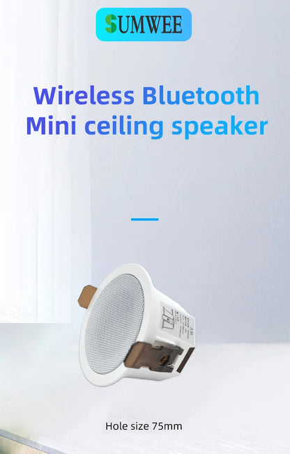 AS-BS05  2" Mini Bluetooth Ceiling Speaker – Full-Range Stereo Background Music Speaker