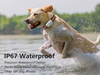 AS-003P Waterproof Mini GPS Pet Tracker G18 – Keep Your Pets Safe, Anytime, Anywhere