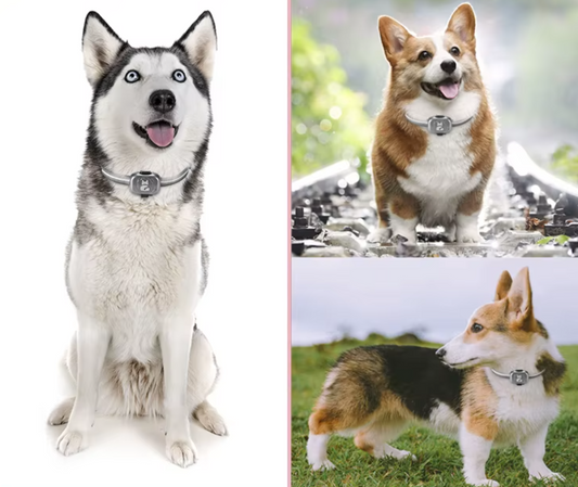 AS-003P Waterproof Mini GPS Pet Tracker G18 – Keep Your Pets Safe, Anytime, Anywhere
